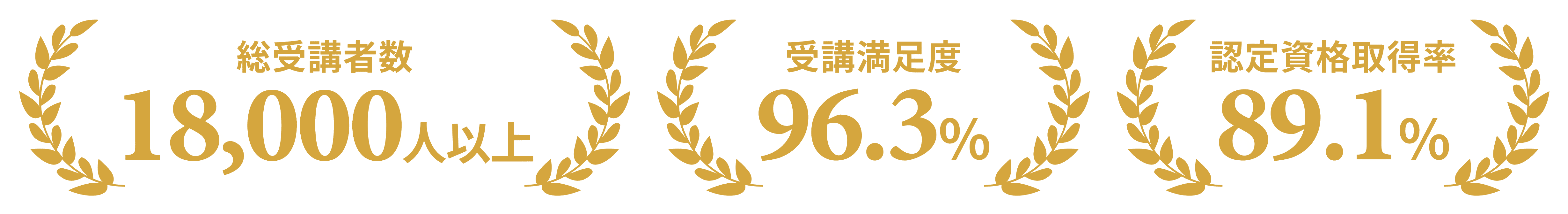ライモの実績